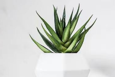 快手播放量怎么挣钱?新号播放量多少算正常? 快手播放量怎么挣钱?新号播放量多少算正常?