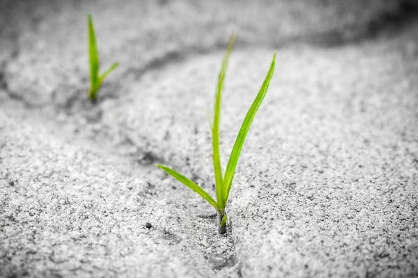 引力魔方如何扣费?出价方式是什么? 引力魔方如何扣费?出价方式是什么?