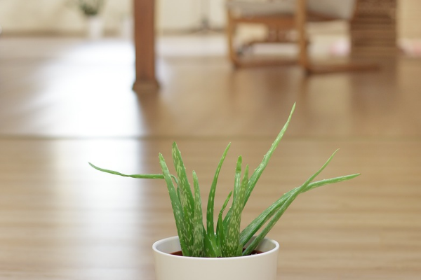 万相台人群怎么开?怎么设置? 万相台人群怎么开?怎么设置?