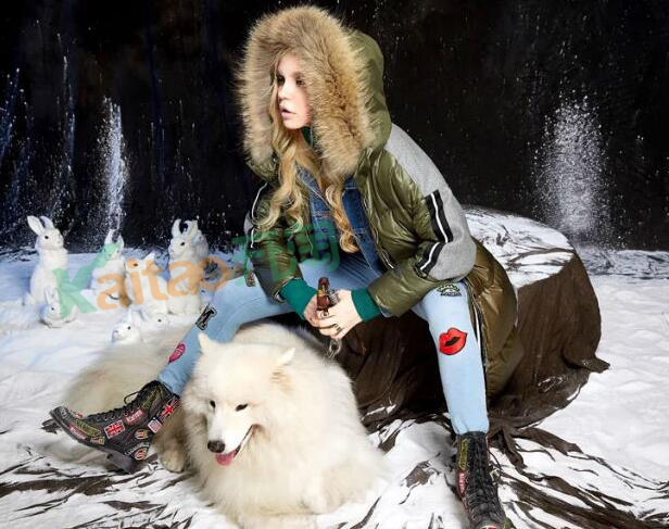 妖精的口袋 妖精的口袋