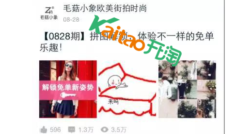 毛菇小象 毛菇小象