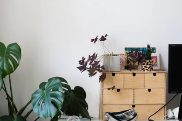 怎么选择淘宝补单平台？有何技巧？