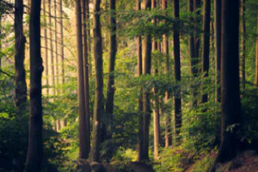 淘宝新品提升销量转化率控制在多少好.png 淘宝新品提升销量转化率控制在多少好.png