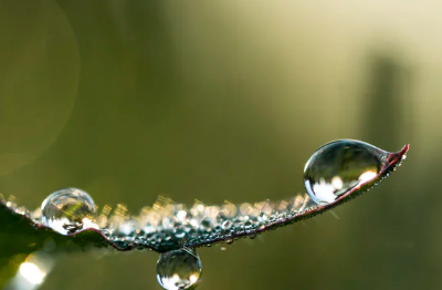 淘宝网店运营怎么操作.png 淘宝网店运营怎么操作.png