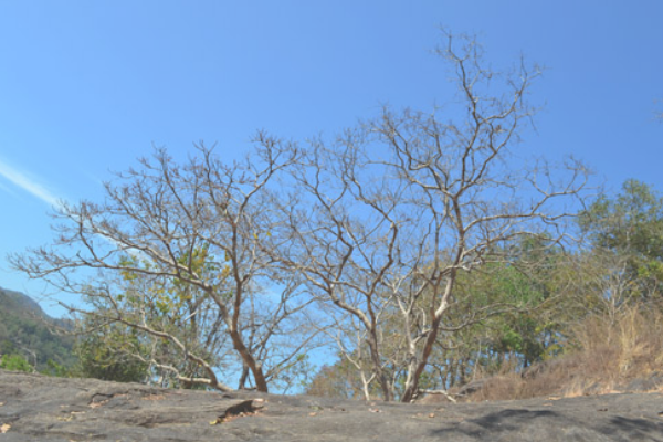 淘宝主图设计标准是什么?需要注意哪些?.png 淘宝主图设计标准是什么?需要注意哪些?.png