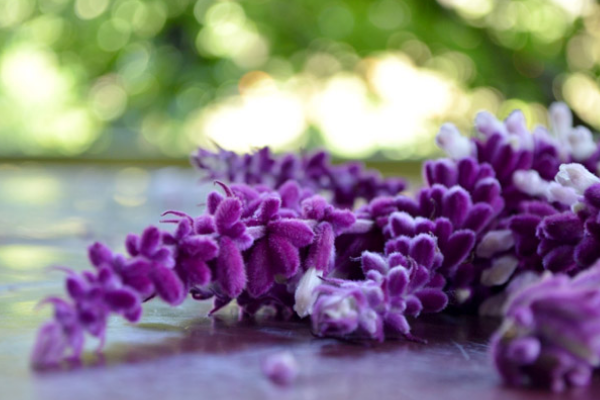 2019情人节怎么营销?店铺如何装修?