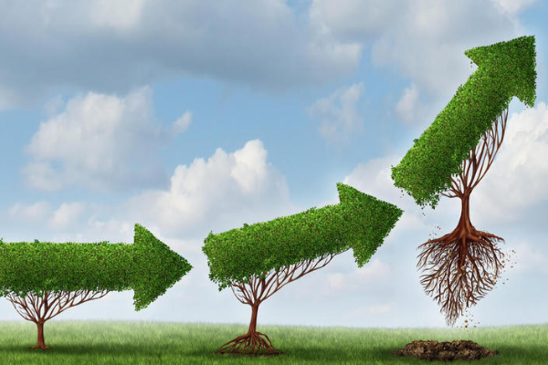 开了网店没有货源怎么办?怎么开一家无货源网店? 开了网店没有货源怎么办?怎么开一家无货源网店?