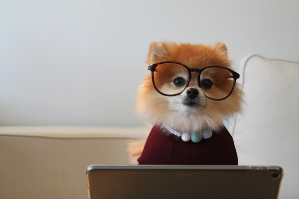 快手商家入驻需要什么材料 快手商家入驻需要什么材料