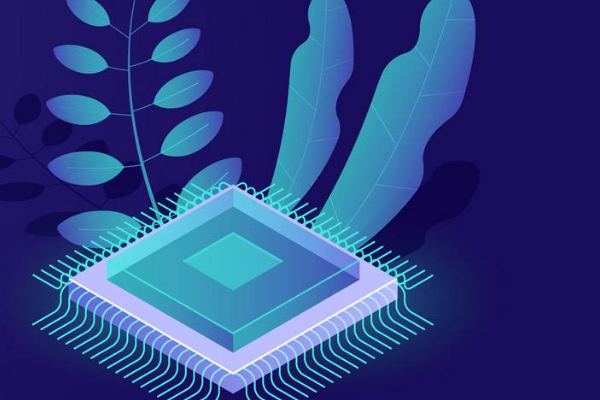 拼多多上品牌授权的店是真的吗?如何辨别?