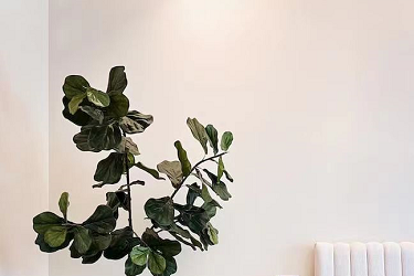 小红书怎么发作品会火?账号违规了还能拯救吗? 小红书怎么发作品会火?账号违规了还能拯救吗?