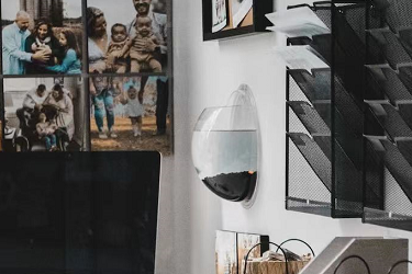 小红书怎么做广告宣传?入驻条件是什么?