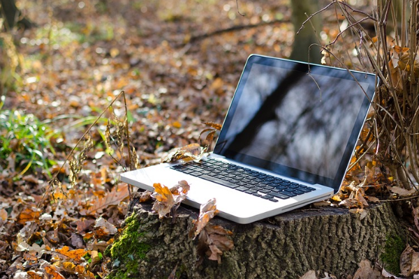 淘宝老店不开直通车可以吗?不开车做得起来吗?