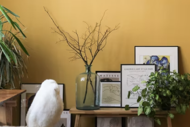 有了一定的抖音粉丝基础如何赚钱？怎么变现？