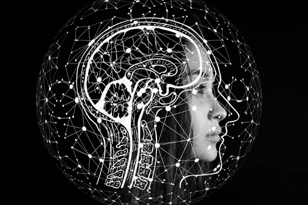 京东提升销量一天几单合适?怎么提升?