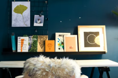 淘宝卖家怎么设定价格？改价格怎么改？