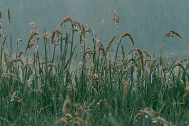 <a href=http://www.taofake.com/article/jiqiao/ target='_blank'>淘宝开店</a>流量和地理位置有关系吗.png <a href=http://www.taofake.com/article/jiqiao/ target='_blank'>淘宝开店</a>流量和地理位置有关系吗.png