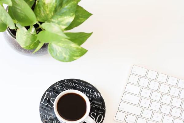 淘宝开店要求严格吗?有什么要求?