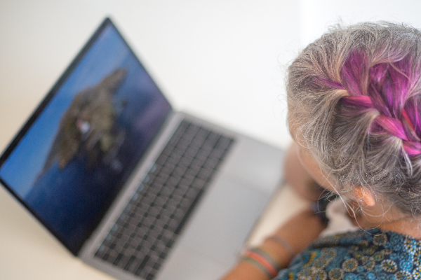 淘宝怎样拉动手淘流量？怎么引流？