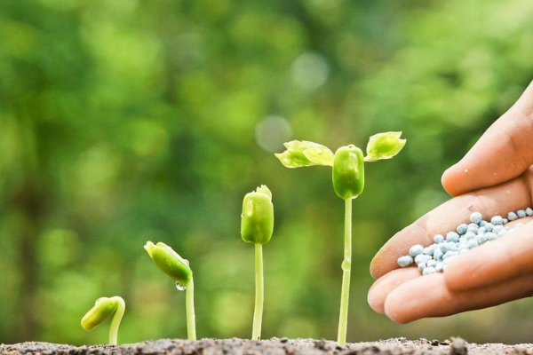 什么是大额提升销量?递增提升销量到底有没有用?