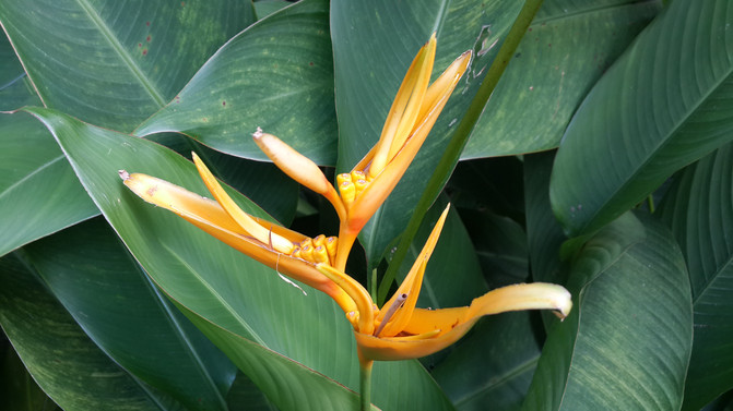 一件代发怎么提高销量.jpg 一件代发怎么提高销量.jpg