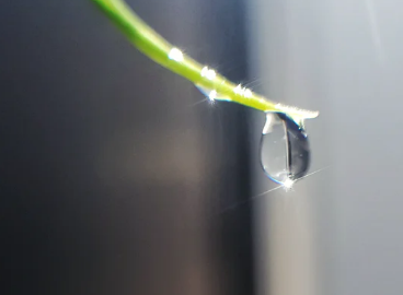 什么叫网店运营？买家喜欢哪类店铺？