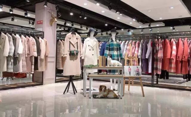 带你全方位的了解淘宝直播，让其成为你的囊中之物