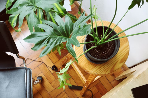 小红书带货需要什么条件?附注意事项