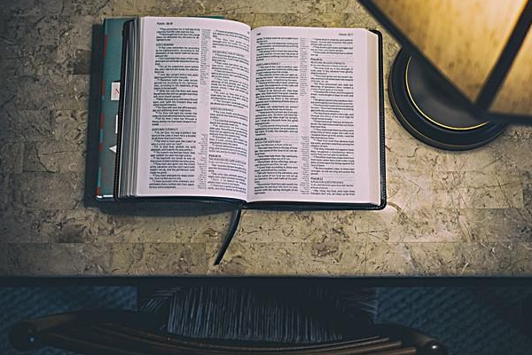 直通车标准投放和智能化投放哪个更好